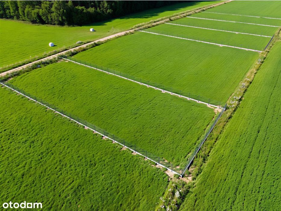 Kameralna działka budowlana 1265 m2 z WZ pod lasem – Osada Kaczka II