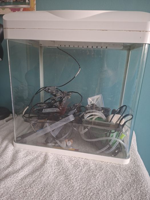 Kompletny zestaw akwariowy. Akwarium 30l gotowe do użytkowania