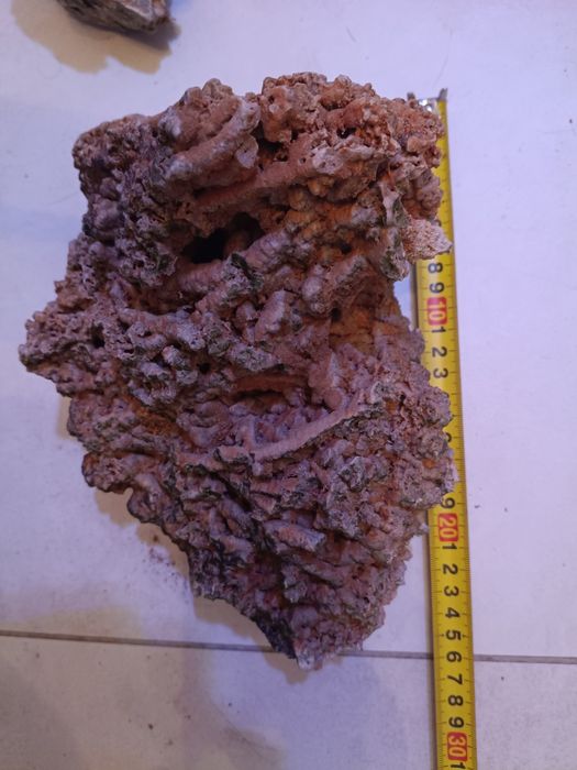 ozdoby do akwarium 3 sztuki