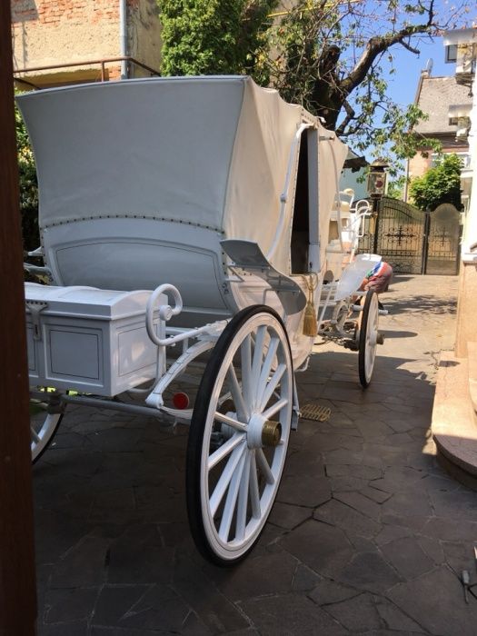 Карета Vis-a-Vis с золотим салоном.