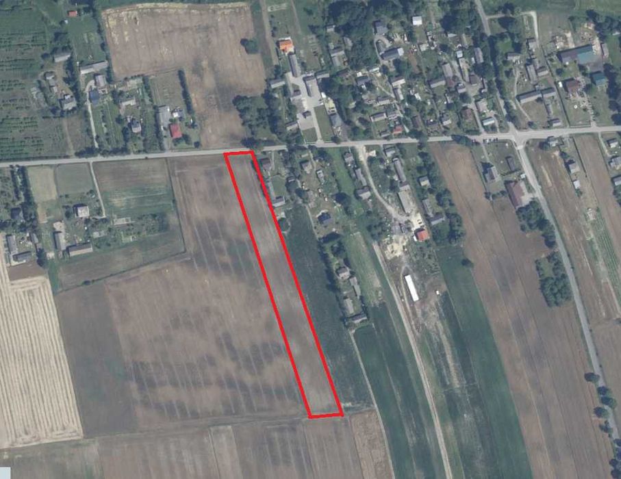 Działka 1,4 ha w Bzitem | Zabudowa zagrodowa | Asfalt | 8 km od Krasnegostawu | Idealna pod dom lub siedlisko - Widok 3