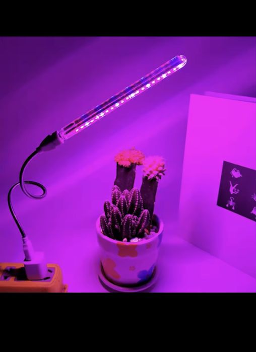 Фітолампа для кімнатних рослин