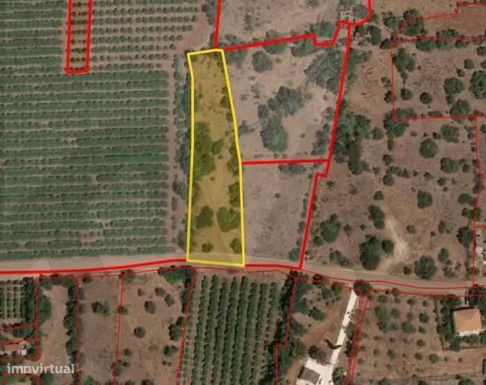 Oportunidade: Terreno com Alfarrobeiras e Bons Acessos em Aivados e Fo — Algoz E Tunes, Faro