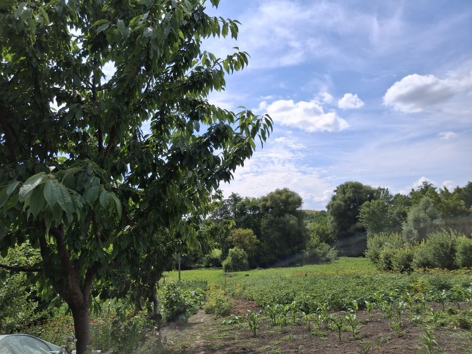 С. Семенівка продаж будинку з земельною ділянкою