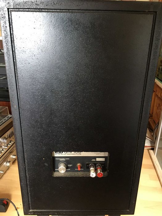 ESS amt 10b - kolumny vintage. Warte uwagi !