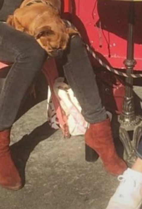 Bordowe buty Sandro botki muszkieterki rozmiar 37