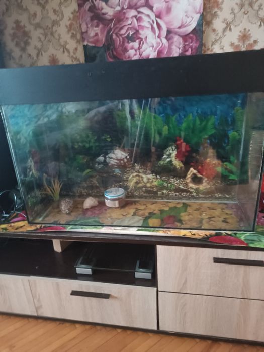 Аквариум б/у для дому