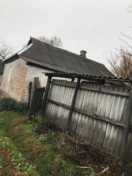 Продам дачу з великою ділянкою в селі Гірманка, Чернігівський район