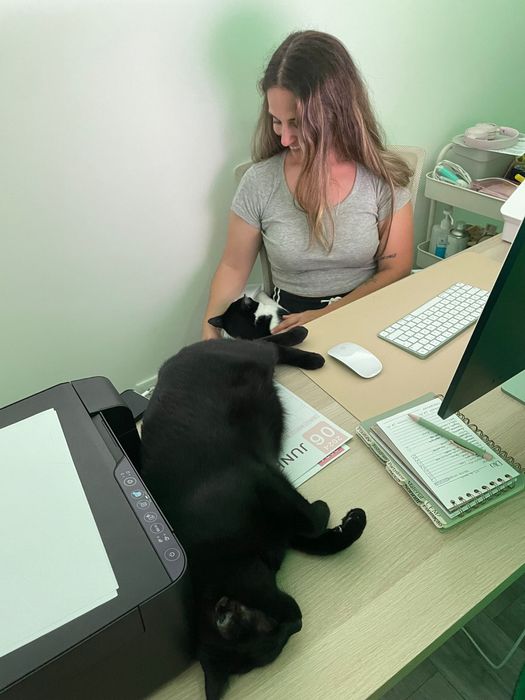Pet sitting para gatos - Seixal