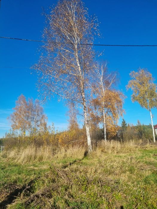 Działka przy lesie, Stanica