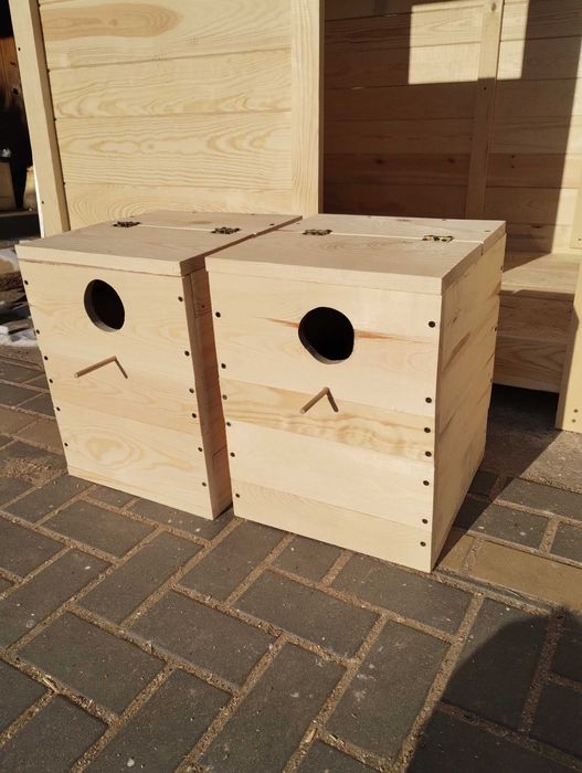 budka lęgowa dla papug 34x36x44wys dla górskich, aleksandret,rozelli