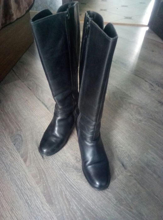 Демісезонні шкіряні сапожки Alesio Nesca