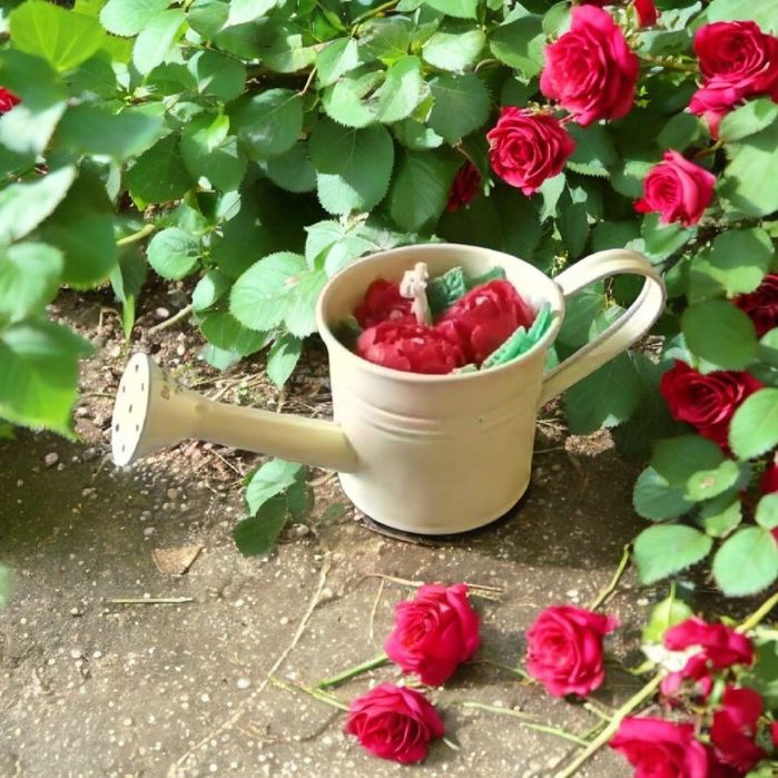 Vela Original de Soja