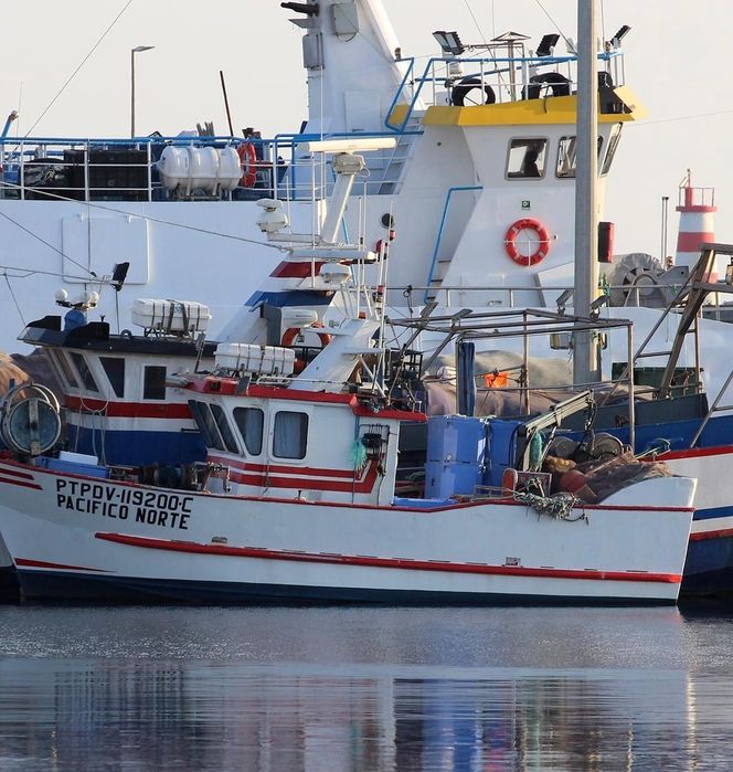 Barco de pesca do cerco