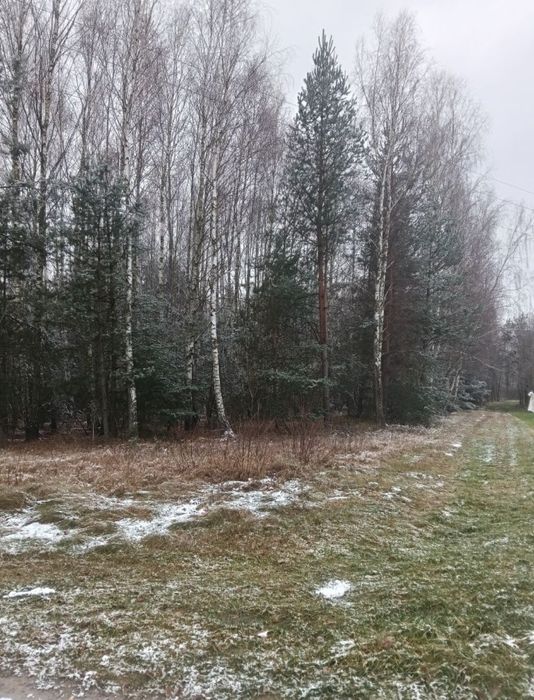 Działka rekreacyjna las staw 1,26Ha