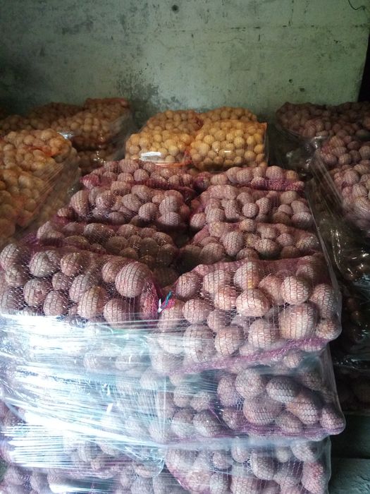 Ziemniaki jadalne 20zł/15kg