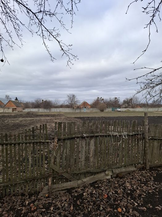 Продам дом с большим участком