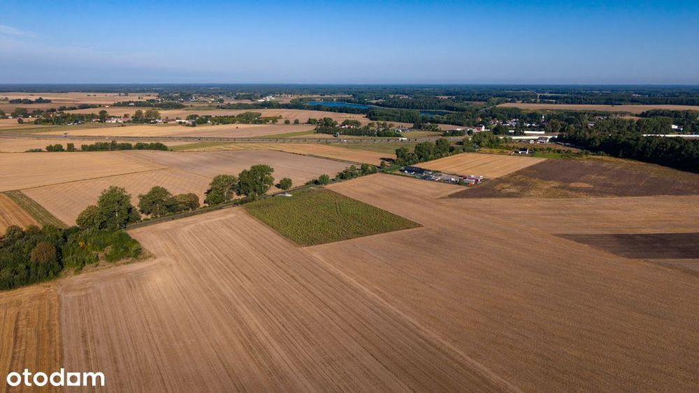 Działki pod dom | Olchowo | 1200 m² | 99 zł/m²