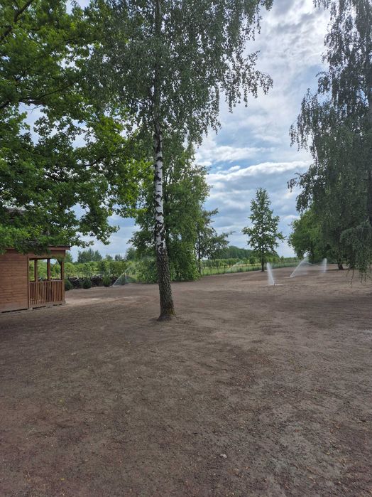 Wycinka drzew równanie terenu drenaż prace ziemne ogrodnicze