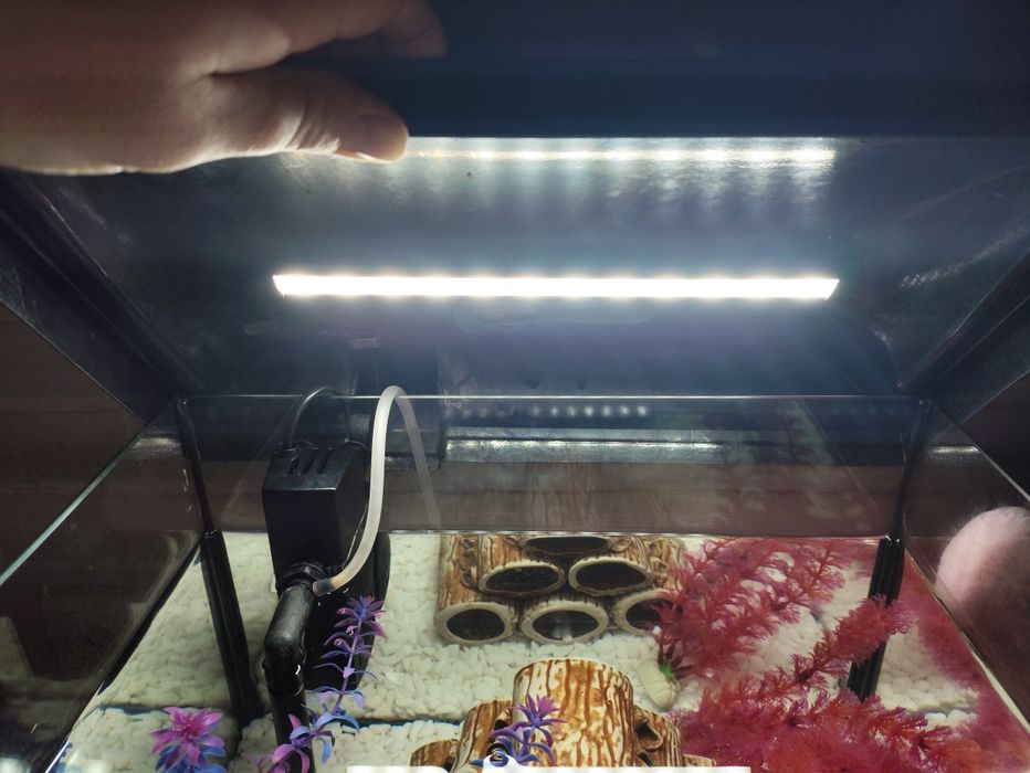 Акваріум 20 літрів