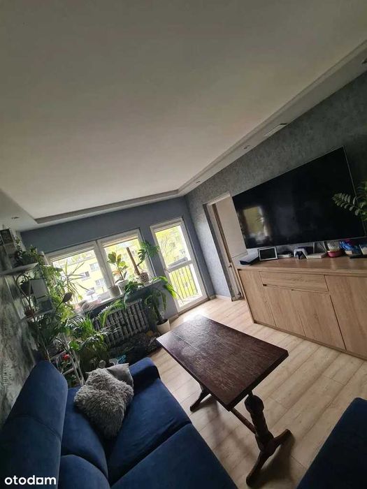 2-pokojowe mieszkanie na Teofilowie, Łódź