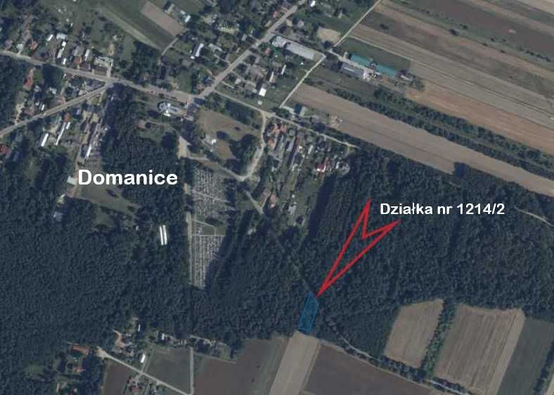 Działka leśna w Domanicach