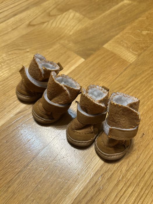 Чобітки для собак