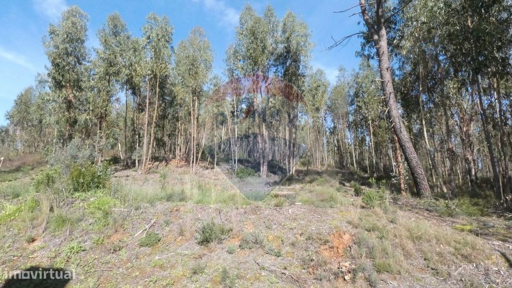 Terreno  para venda