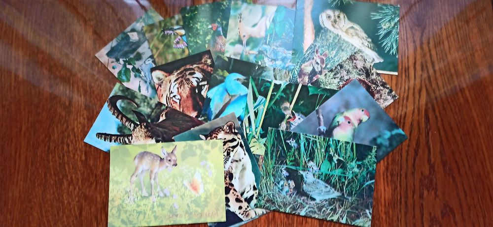 Открытки, конверты, 3D открытки для коллекции