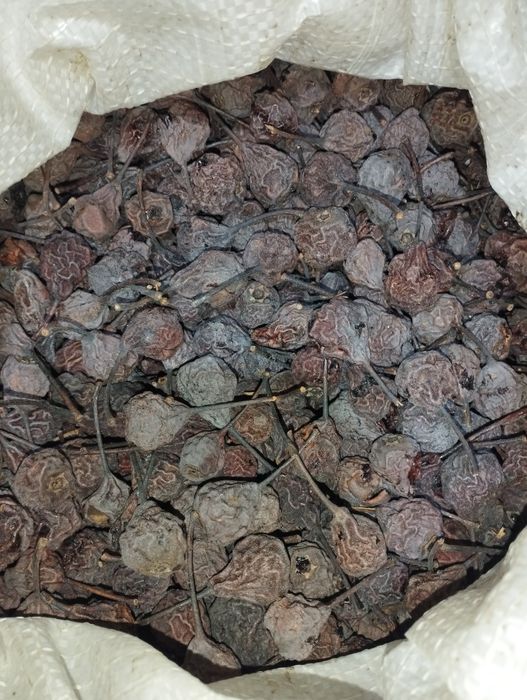 Сухофрукты яблоки груши 60 грн/кг