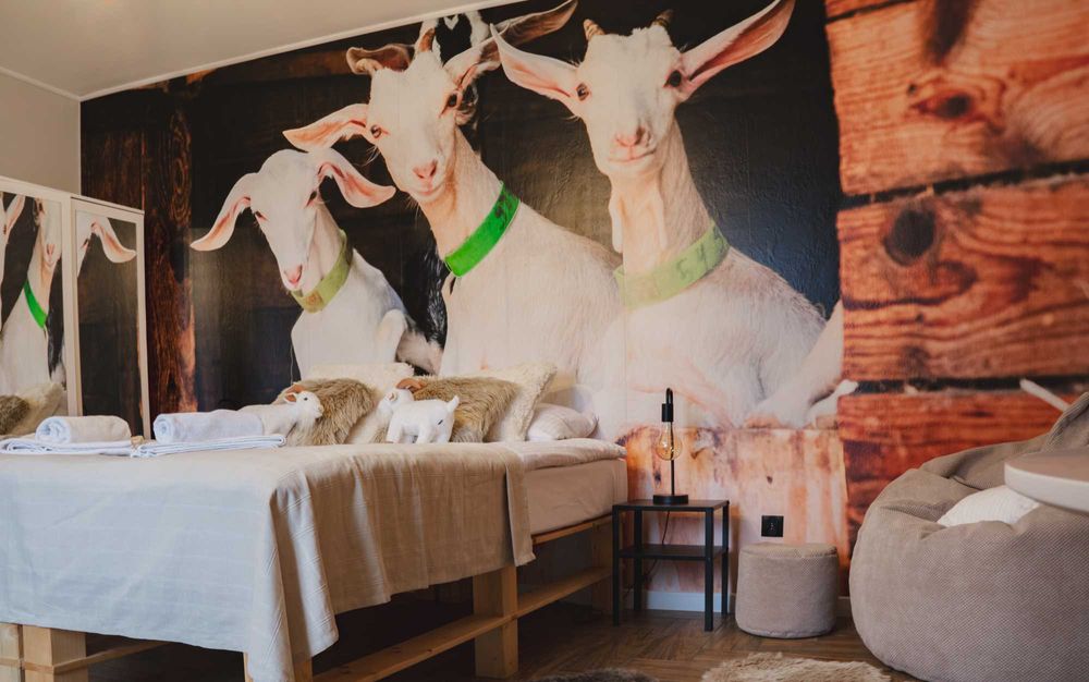 Wielkanoc 2026 /dom na wynajem, integracja/kawalerskie/panieńskie