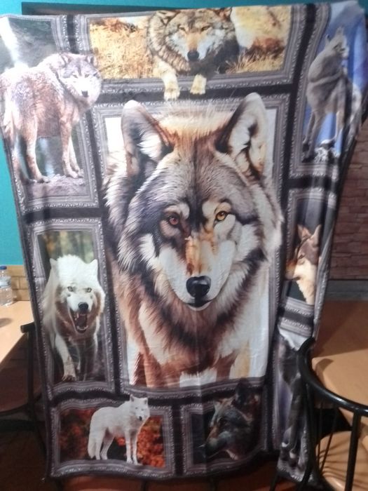 Husky siberiano cobertor