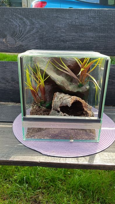 Terrarium szklane