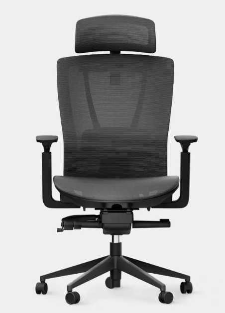 Cadeira Ergonomic