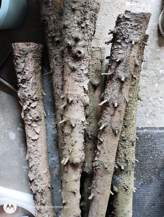 Kołki, stemple, drewno, opał świerk 9 sztuk