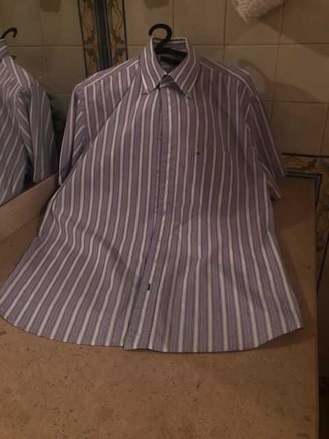 Camisa homem marca luxo Tommy Hilfiger, modelo desportivo