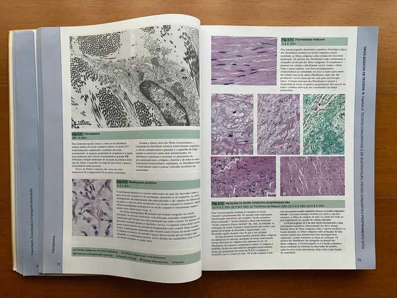 Histologia Funcional - Texto e Atlas em Cores