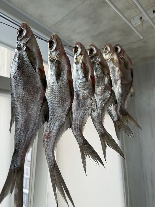 Синець Вʼялена риба Таранка