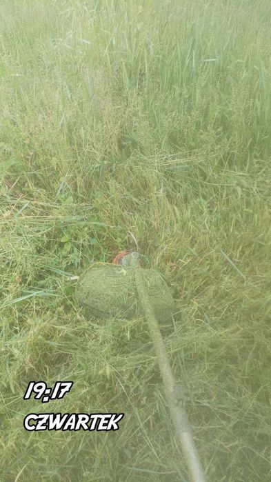 Oferuje koszenie działek wysokie i niskie trawy