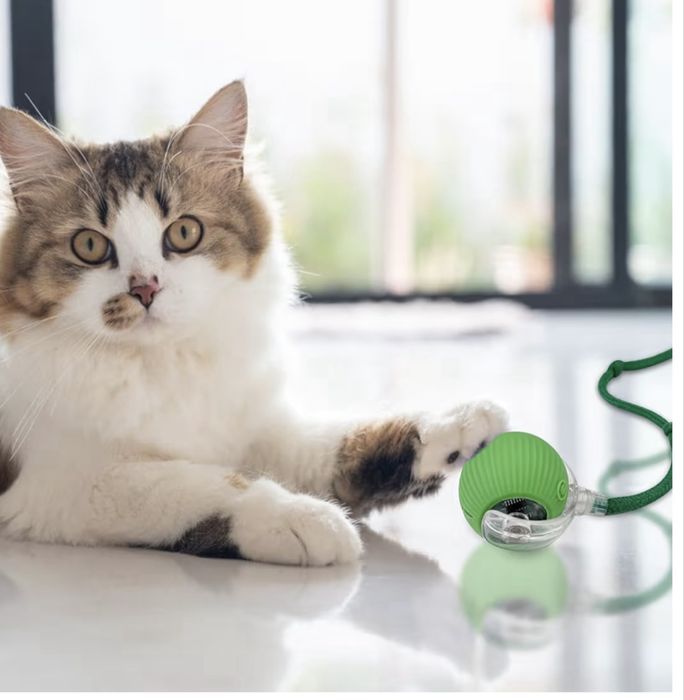 Brinquedo para gatos