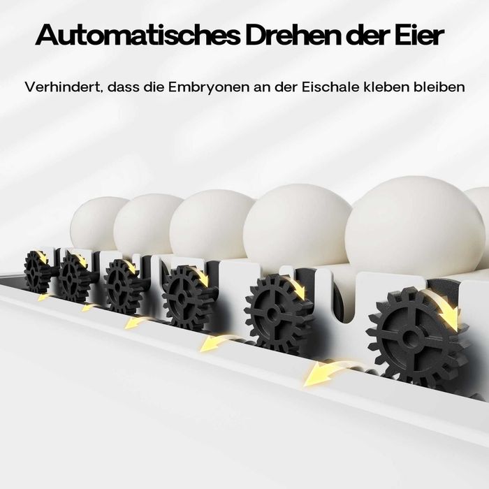 Chocadeira/Incubadora até 128 Ovos Automática NOVA-Disponibilidade Imediata