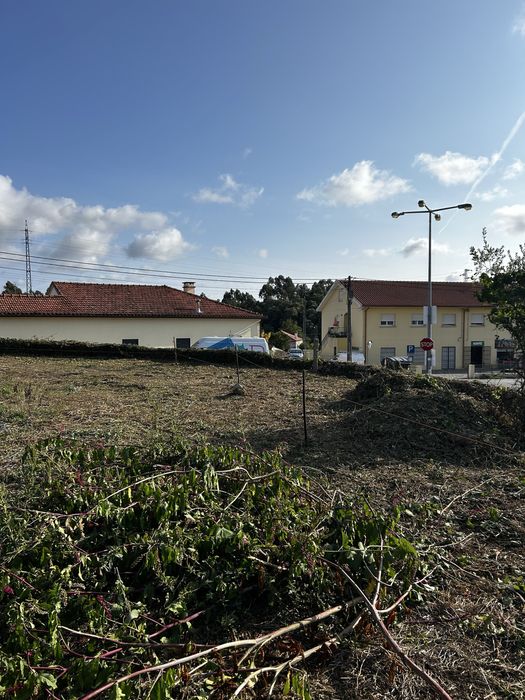 Serviços de jardinagem e limpeza de espaços verdes