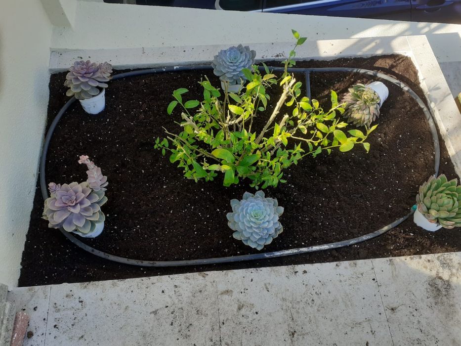 Serviços de Jardinagem e Manutenção de Espaços Verdes