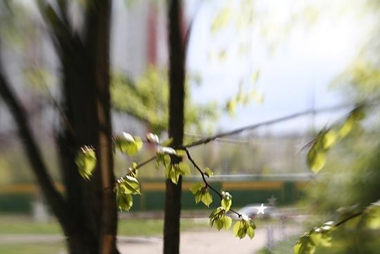 Объектив Lensbaby 2.0 selective focus SLR Lens (для Canon)