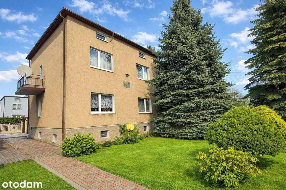 Przytulny dom w pobliżu lasu