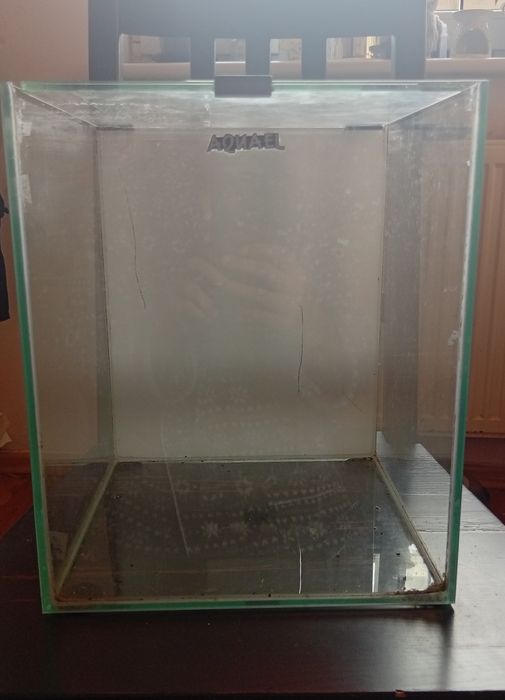 Terrarium dla patyczaka bądź rybki