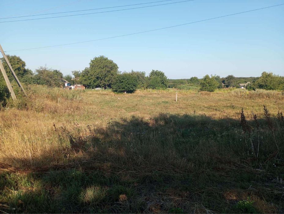 Продам хорошу рівну земельну ділянку 0,24 га в с.Жуки,вул.Короленка 2а