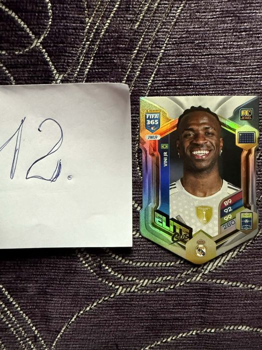 Karty kolekcjonerskie Panini