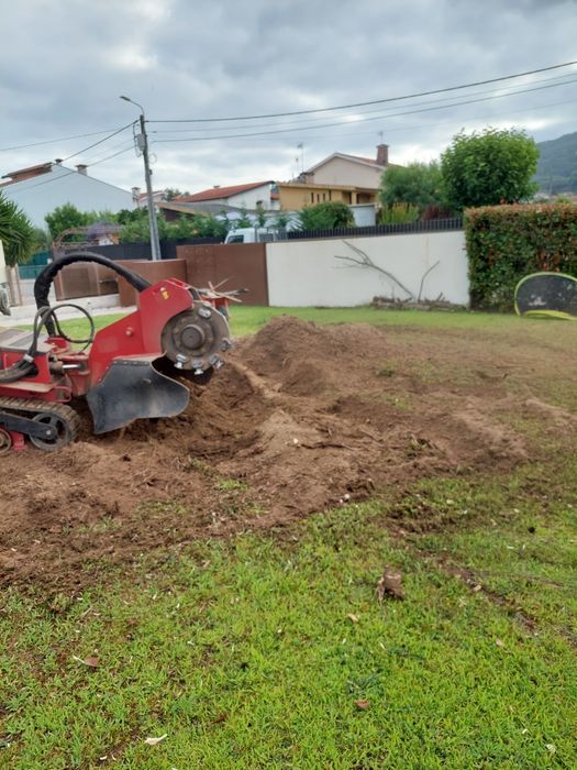Jardinagem/ Arboricultura