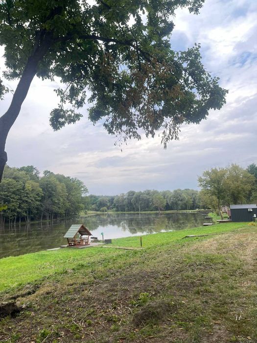 Продаж гарного діючого бізнесу у мальовничому місці